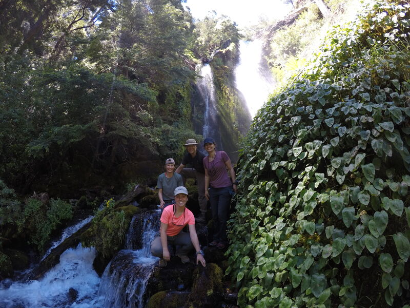 A group of four people are posing for a photo in front of a waterfall. The waterfall cascades down rocks surrounded by lush greenery. The people are standing on rocks near the base of the falls, with trees and foliage framing the scene. The lighting is bright, highlighting the water and the surrounding vegetation.